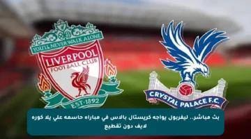 بث مباشر.. ليفربول يواجه كريستال بالاس في مباراة حاسمة على يلا كورة لايف دون تقطيع